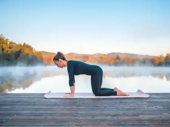 Module 3 (Alignment) - 200 HR Yoga Teacher Training